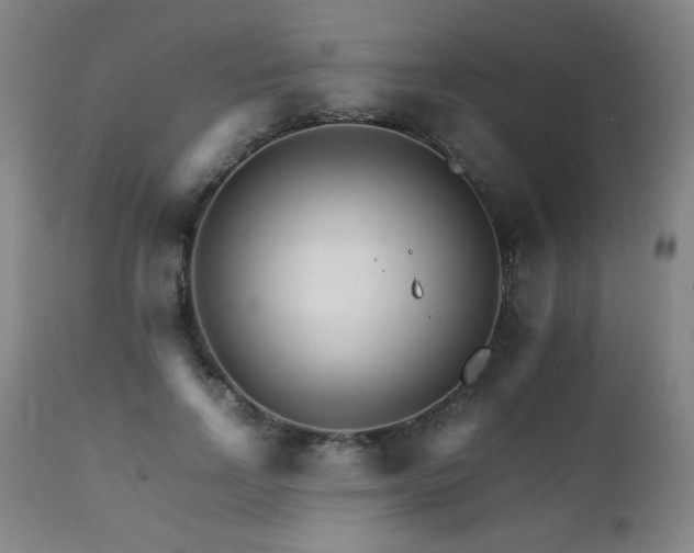 X0000111230742200907021358