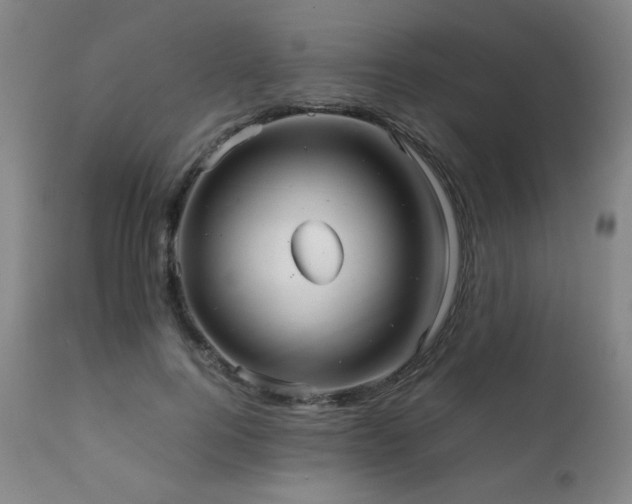 X0000111230744200907021358