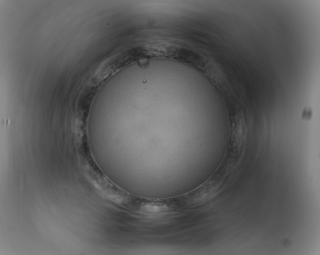 X0000111230749200907021358