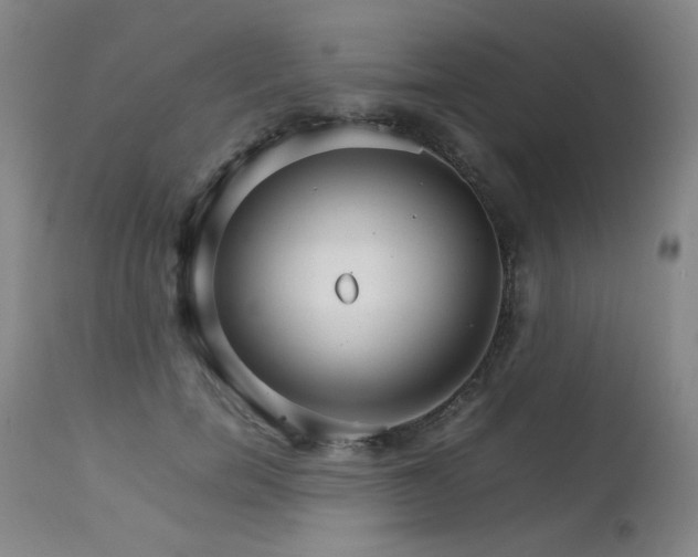 X0000111230750200907021358