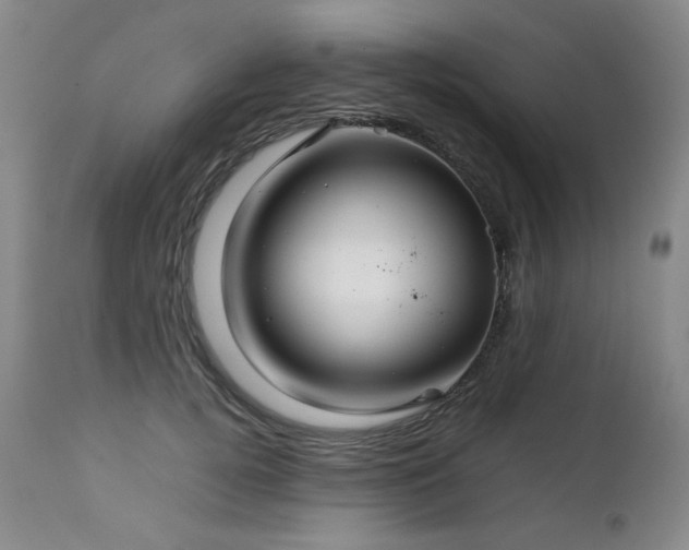 X0000111230752200907021358
