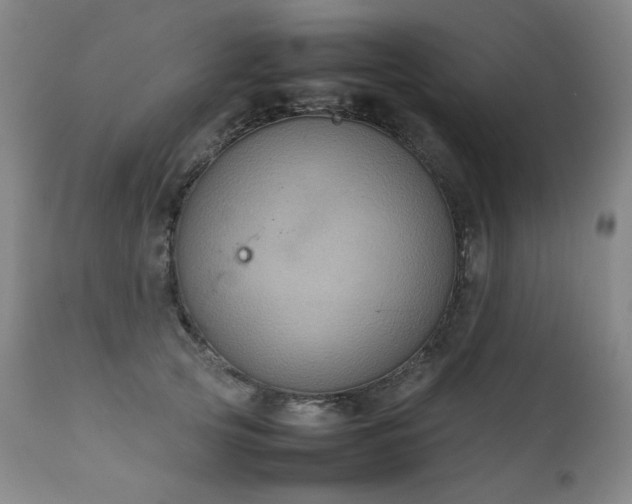 X0000111230753200907021358
