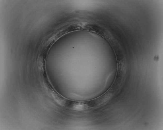 X0000111230754200907021358