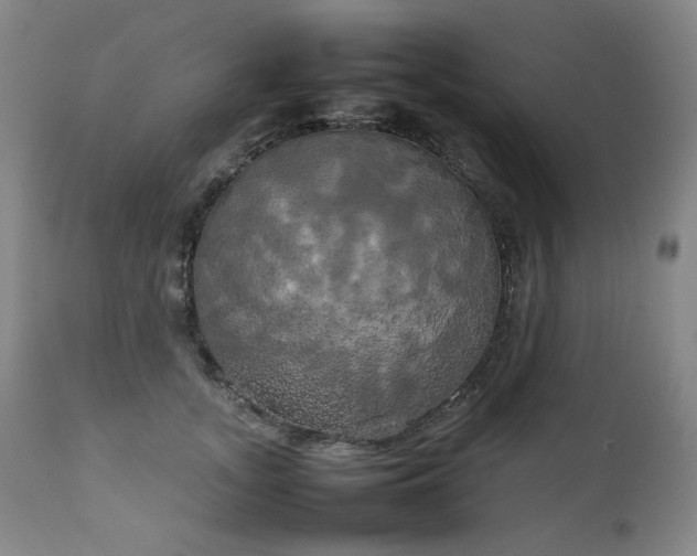 X0000111230755200907021358