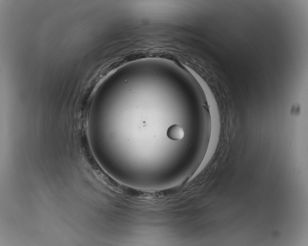 X0000111230756200907021358