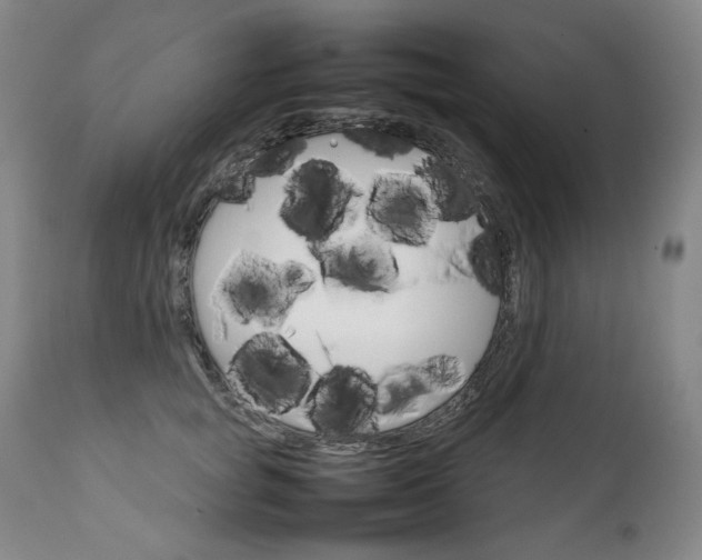 X0000111230757200907021358