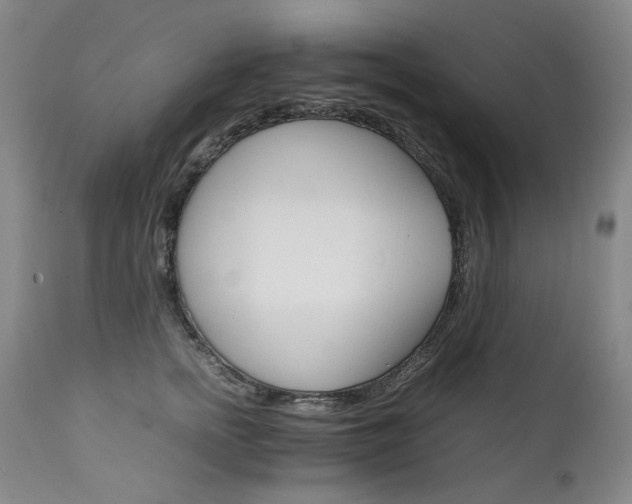 X0000111230758200907021358