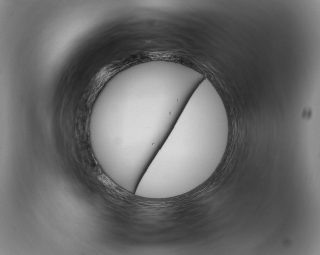 X0000111230763200907021359