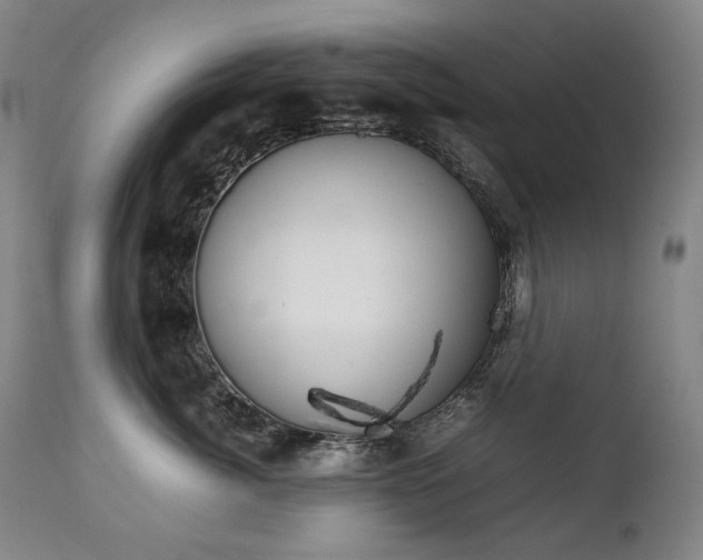 X0000111230764200907021359