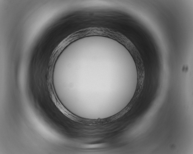 X0000111230765200907021359