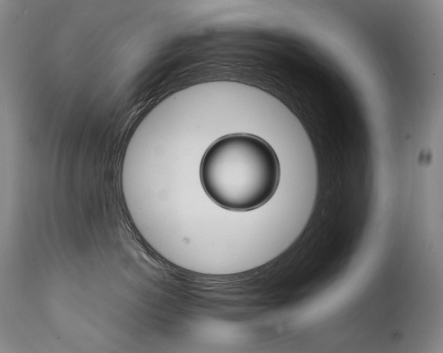 X0000111230766200907021359