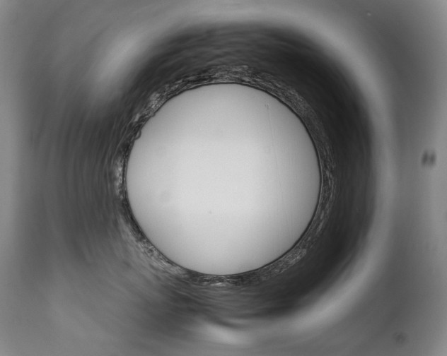 X0000111230767200907021359
