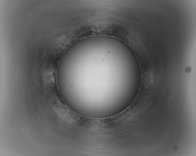 X0000111230770200907021358