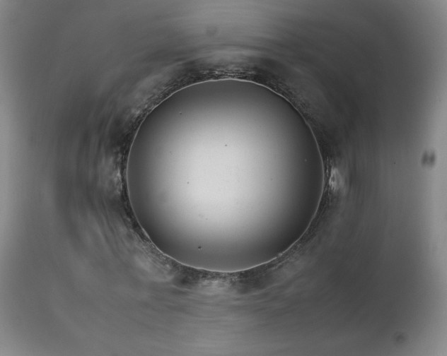 X0000111230771200907021358