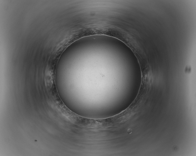 X0000111230772200907021358