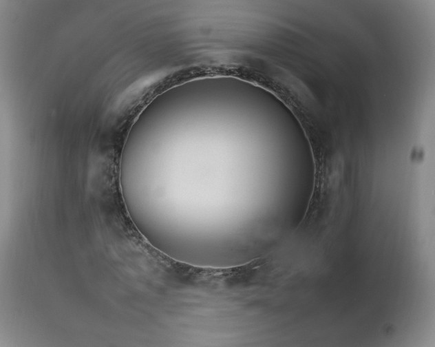 X0000111230773200907021358