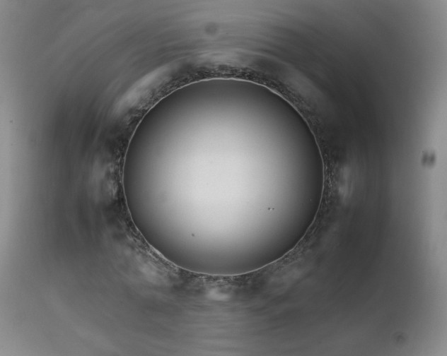 X0000111230774200907021358