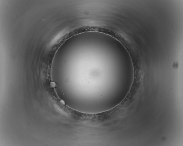 X0000111230775200907021358
