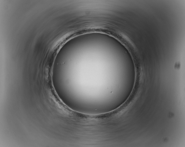 X0000111230777200907021358