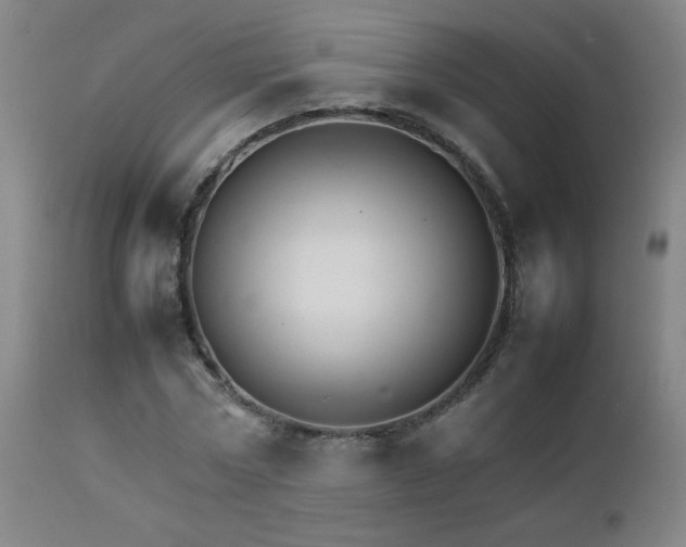 X0000111230778200907021358