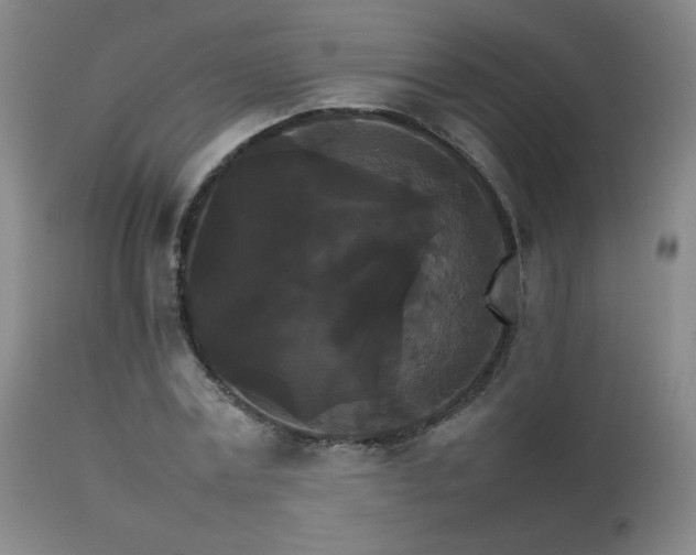 X0000111230779200907021358