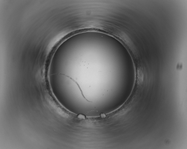 X0000111230780200907021358