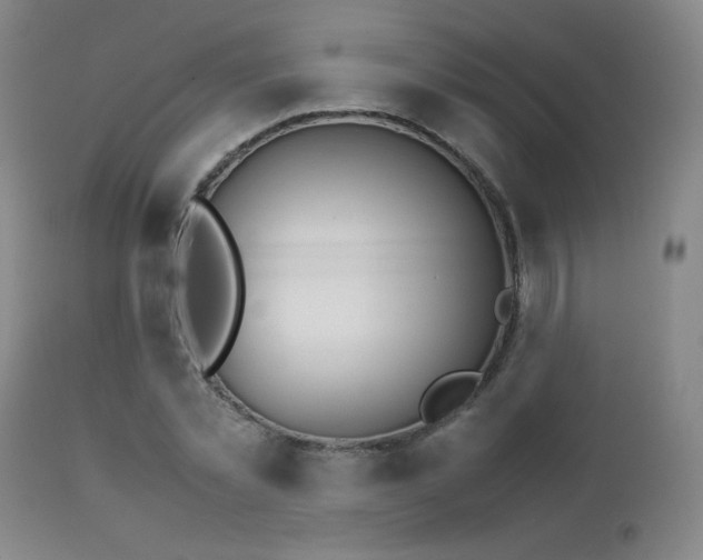 X0000111230781200907021358