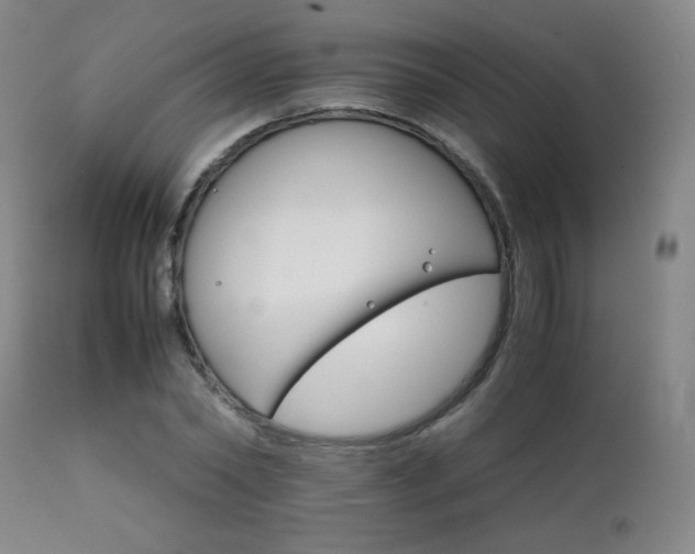 X0000111230782200907021358