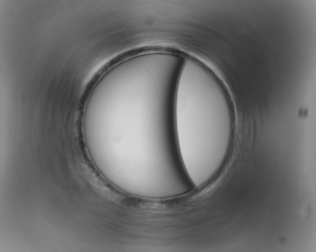 X0000111230783200907021358