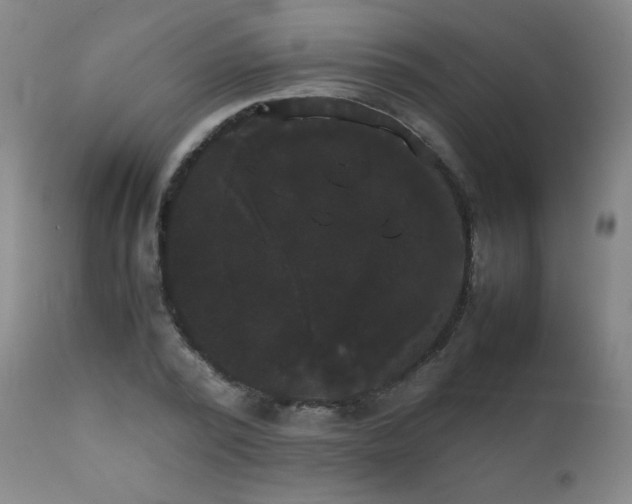 X0000111230784200907021358