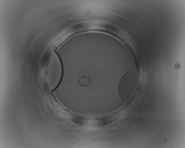 X0000111230785200907021358