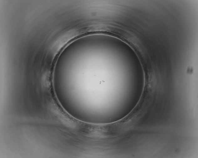 X0000111230786200907021358