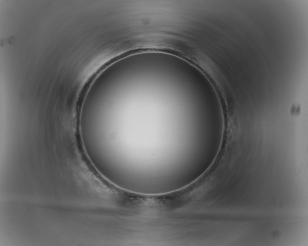 X0000111230787200907021358