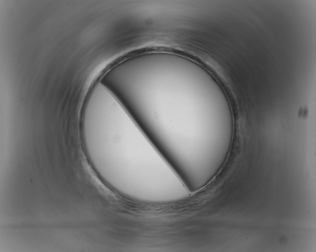 X0000111230791200907021357