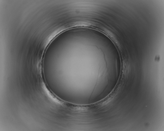 X0000111230802200907021357