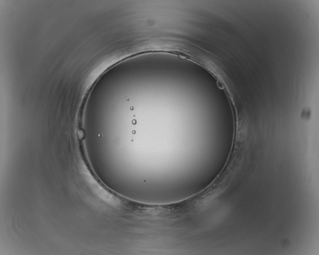 X0000111230803200907021357