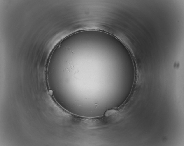 X0000111230805200907021357