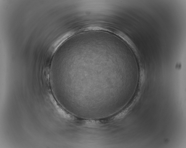 X0000111230809200907021357