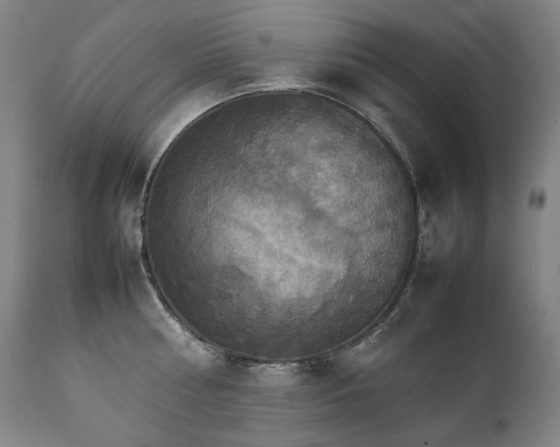 X0000111230810200907021357