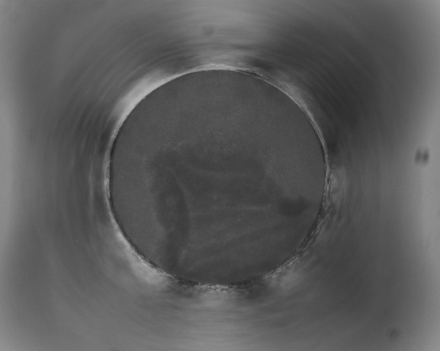 X0000111230811200907021357
