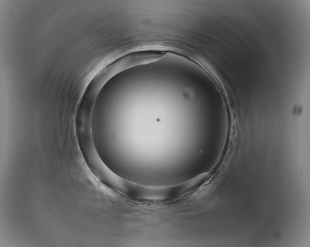 X0000111230813200907021357
