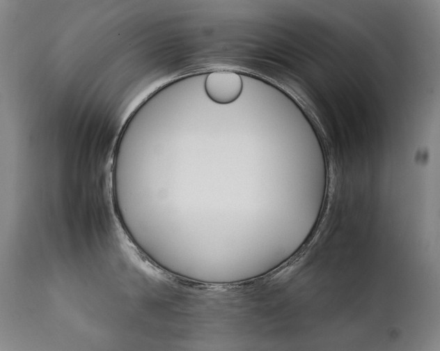 X0000111230814200907021357