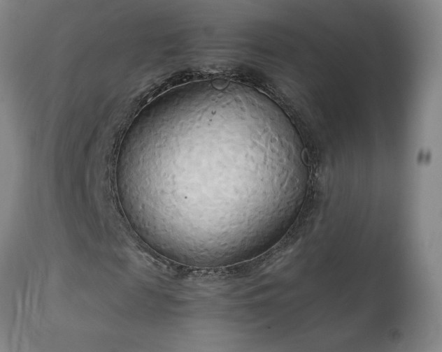 X0000111230817200907021356