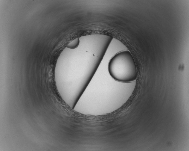 X0000111230818200907021356