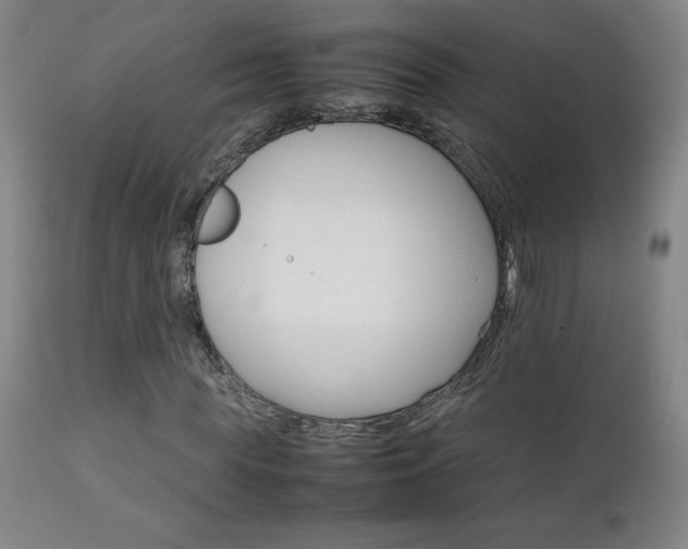 X0000111230819200907021356