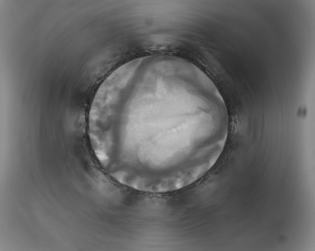X0000111230820200907021356