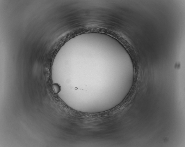 X0000111230821200907021356