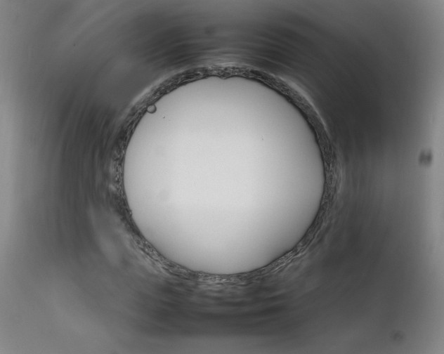 X0000111230823200907021356