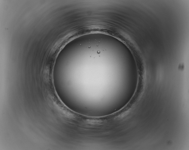 X0000111230825200907021356