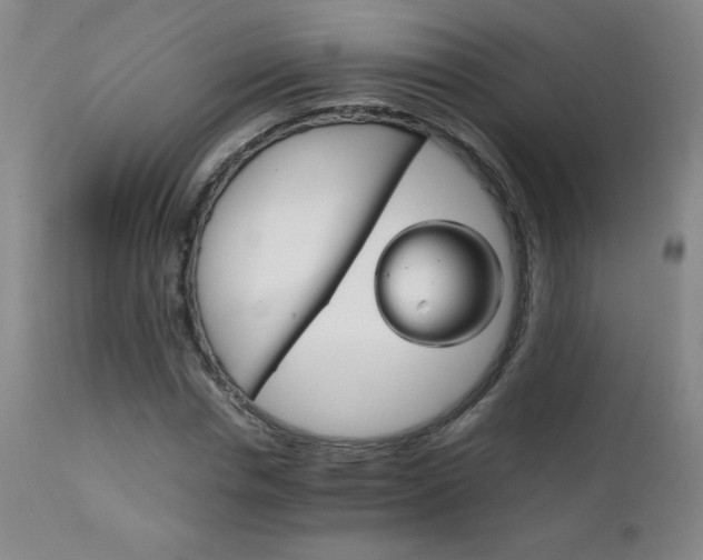 X0000111230826200907021356